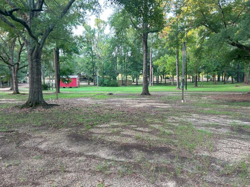 Park Image 6