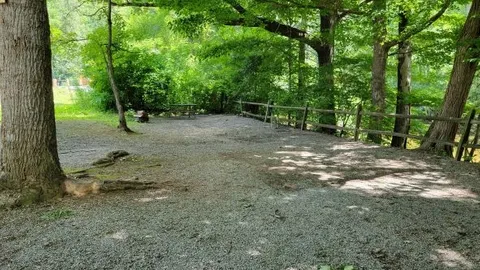 On River Van - Pop Up - Tent Site — image 1 of 1