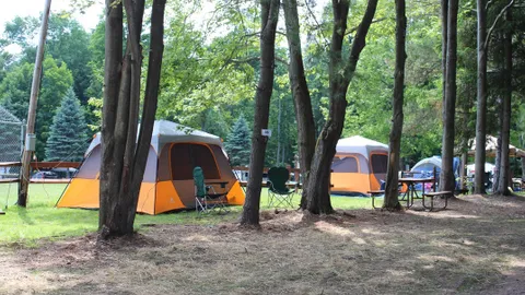 Water/Electric Tent Site — image 1 of 1