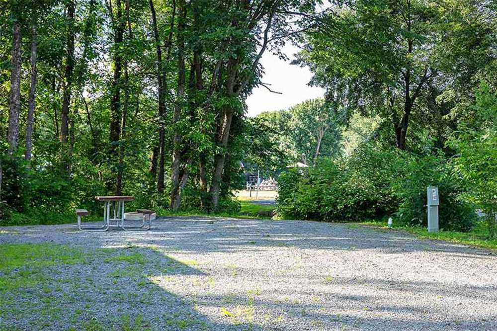 Premium Back-In RV Site