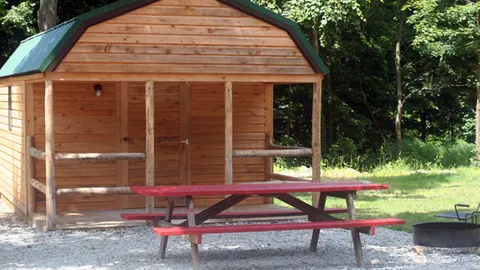 Primitive Cabin — image 1 of 2