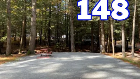 Standard Tent/Pop-Up Site (W/E/C) — image 9 of 9