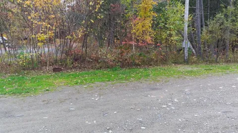 RV (W/E) — image 6 of 6