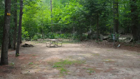 Deluxe Back-In RV — image 3 of 3