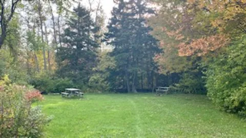 The Hollow-Unserviced Tent/Popup — image 2 of 3