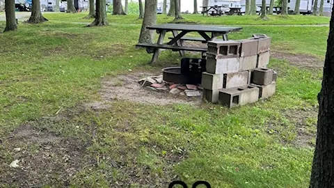 Wooded Primitive  Site — image 2 of 8