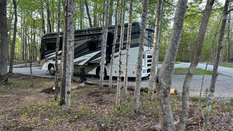 Area F RV: Long FHU Pull-Thru w/ Sewer — image 2 of 12