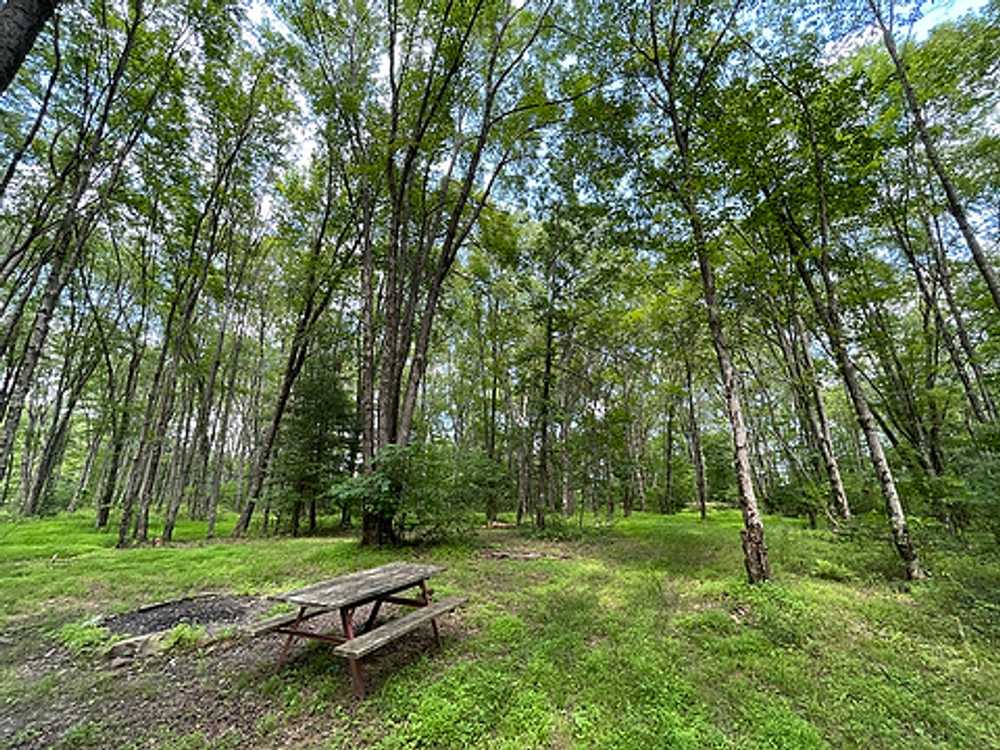 Chestnut Lake Campground, Brodheadsville, Pennsylvania - Photo 3