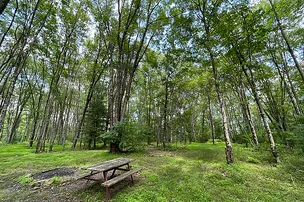Chestnut Lake Campground – photo 3