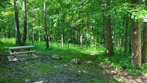 Primitive Tent Site — image 1 of 2