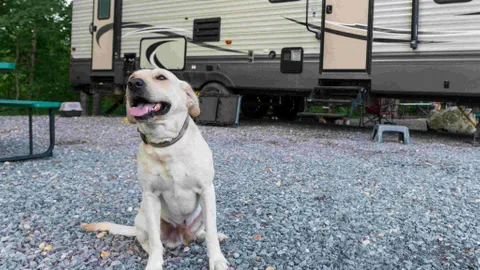 Pull-Thru RV Site — image 7 of 7