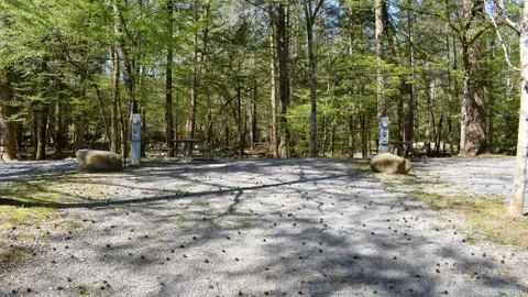 Off River Full Hookup RV Site — image 1 of 10