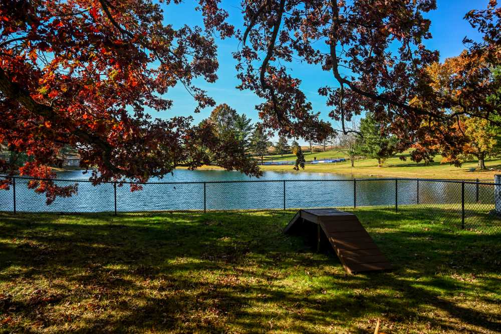 Park Image 7
