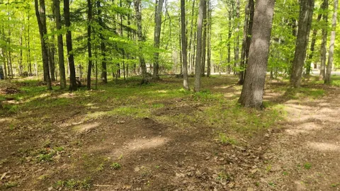 Primitive Tent Site with Water + Electric Nearby — image 1 of 1