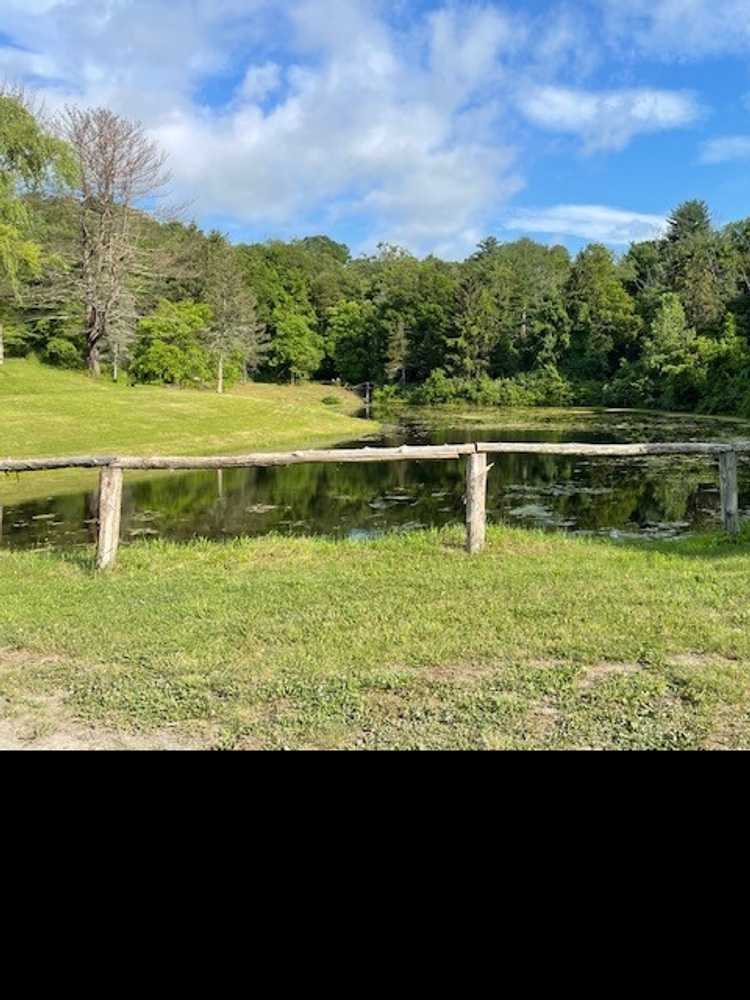 Park Image 5