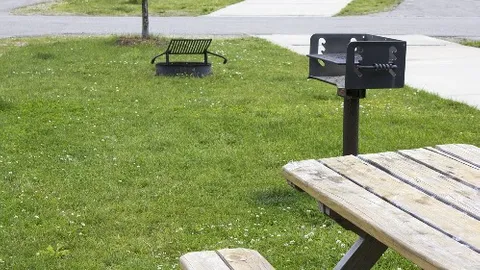 Back-In 30 Amp Wider Grass RV Site — image 2 of 6