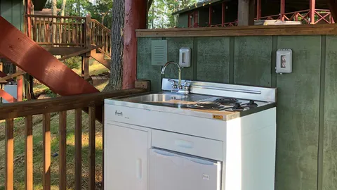 Lake View Treetop Cabin — image 2 of 15
