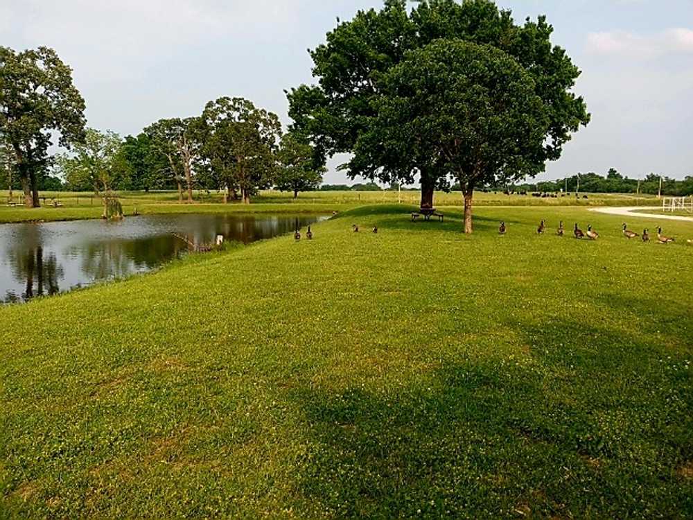 Zen Monkey RV Retreat - Photo 4