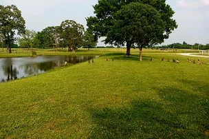 Zen Monkey RV Retreat – photo 4