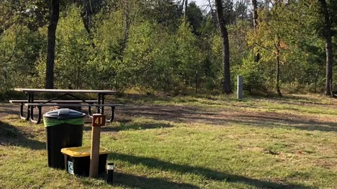 30/50 Amp Standard Back-in RV Site - ELECTRIC ONLY / NO WATER HOOKUP — image 2 of 7