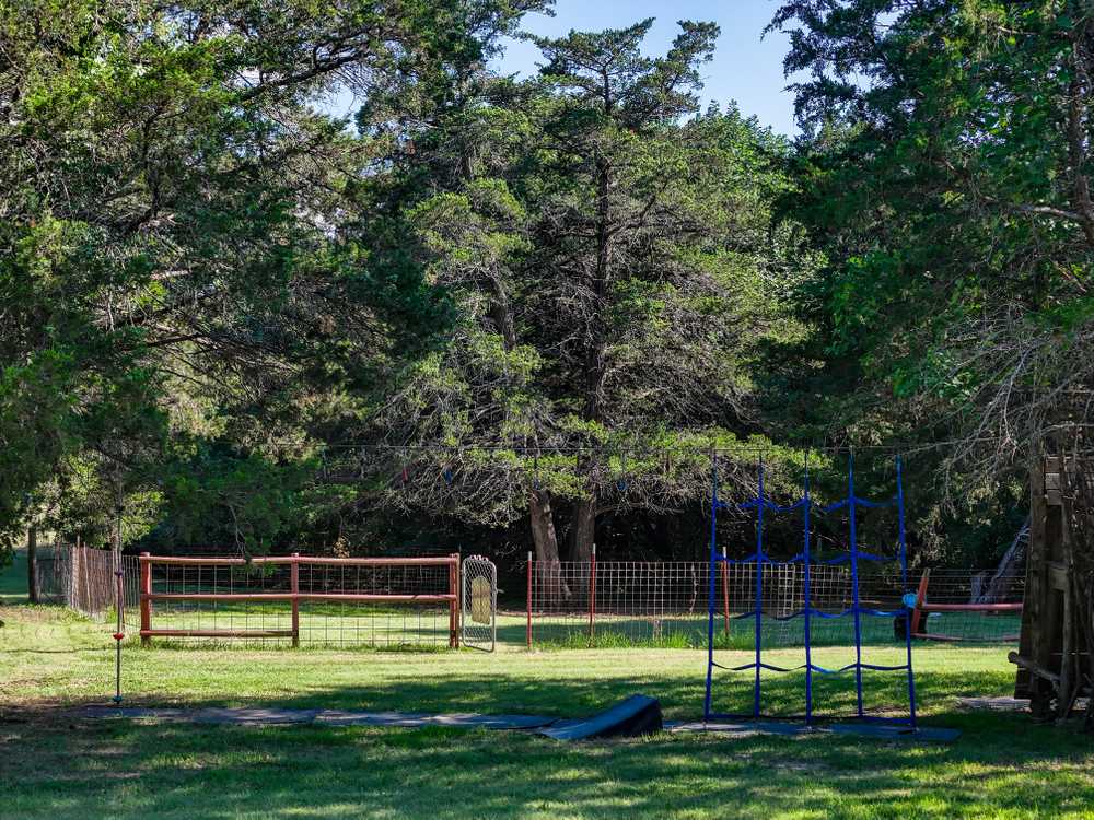 Park Image 8