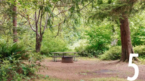 Lake Creek Primitive Tent Site — image 11 of 11