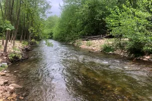 Swedish Lilac Campground Virginia – photo 4
