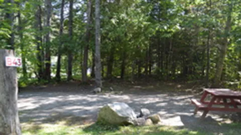 Wooded Tent Site — image 2 of 5