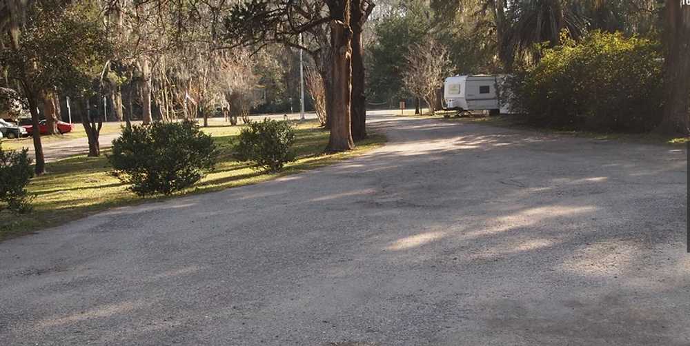 Big Tree RV Park - Photo 5