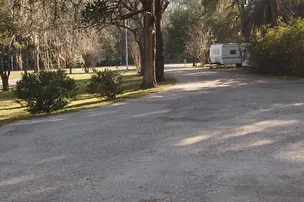 Big Tree RV Park – photo 5