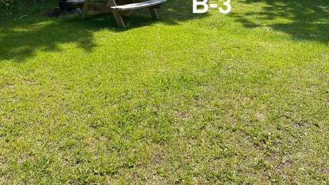 Section B — image 4 of 4