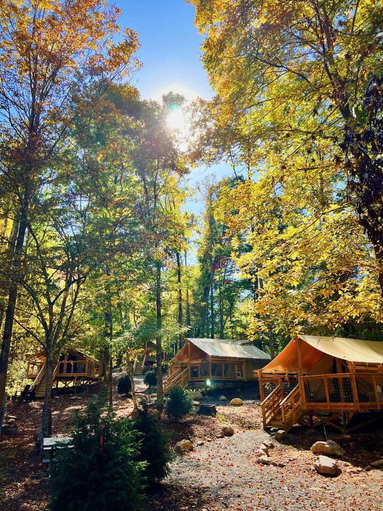 Wilderness Cove Campground - Photo 2