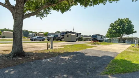 Premium Full Hookup Pull-Through RV Site — image 1 of 2