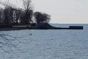 Port Bay Campground – photo 4