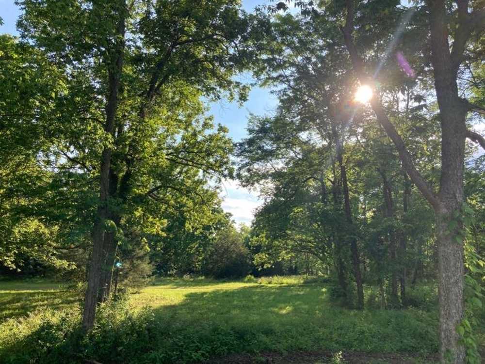 Park Image 12