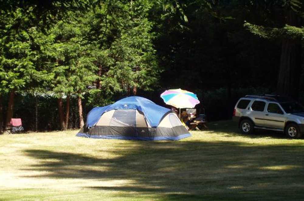 Redwood Resort RV Park and Campground, Boulder Creek, California - Photo 4