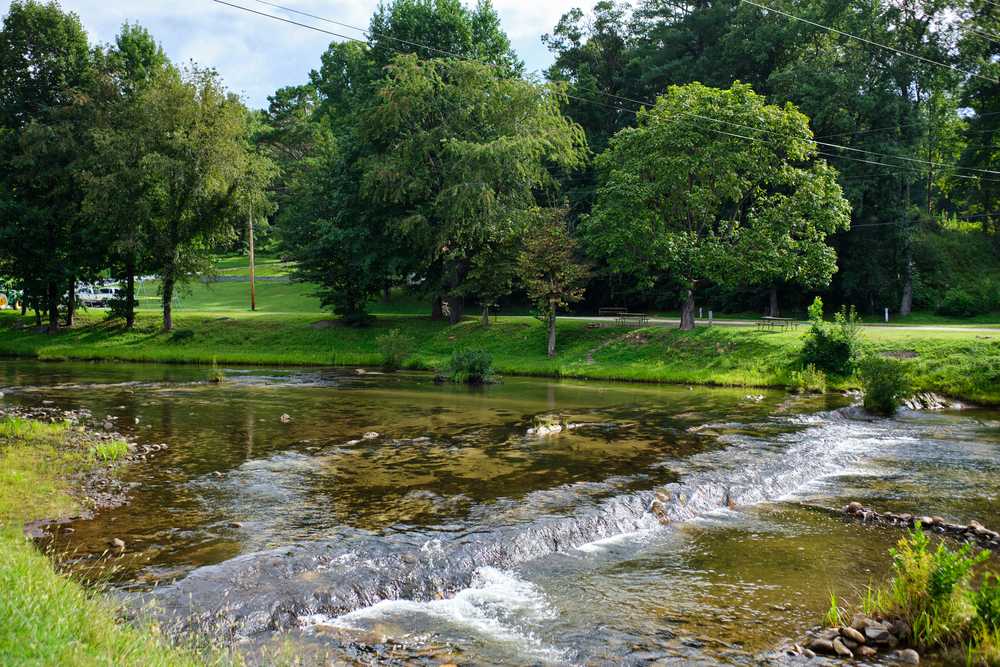 Steel Creek Park Campground - Photo 4