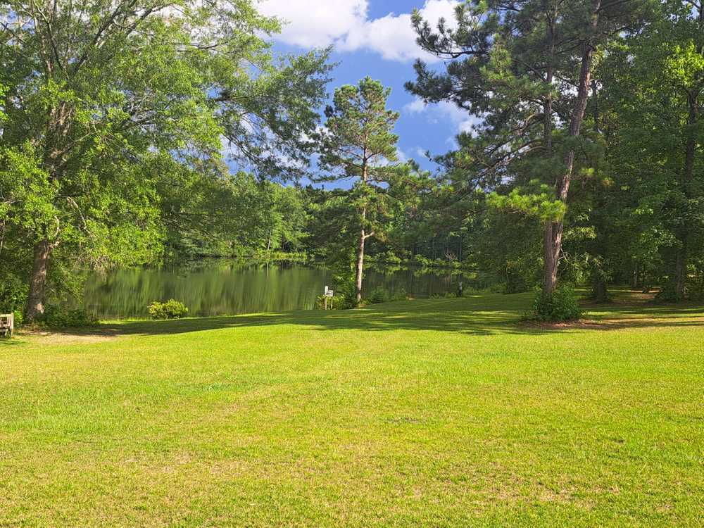 Park Image 7