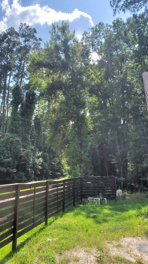 Park Image 5