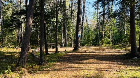 WOODED SITE 15 — image 2 of 4