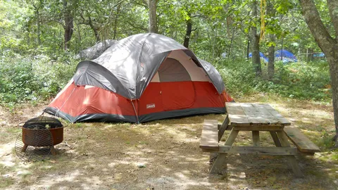 Premium W/E Tent - Hortons — image 1 of 1