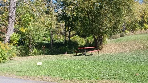 Primitive Tent Site — image 2 of 5
