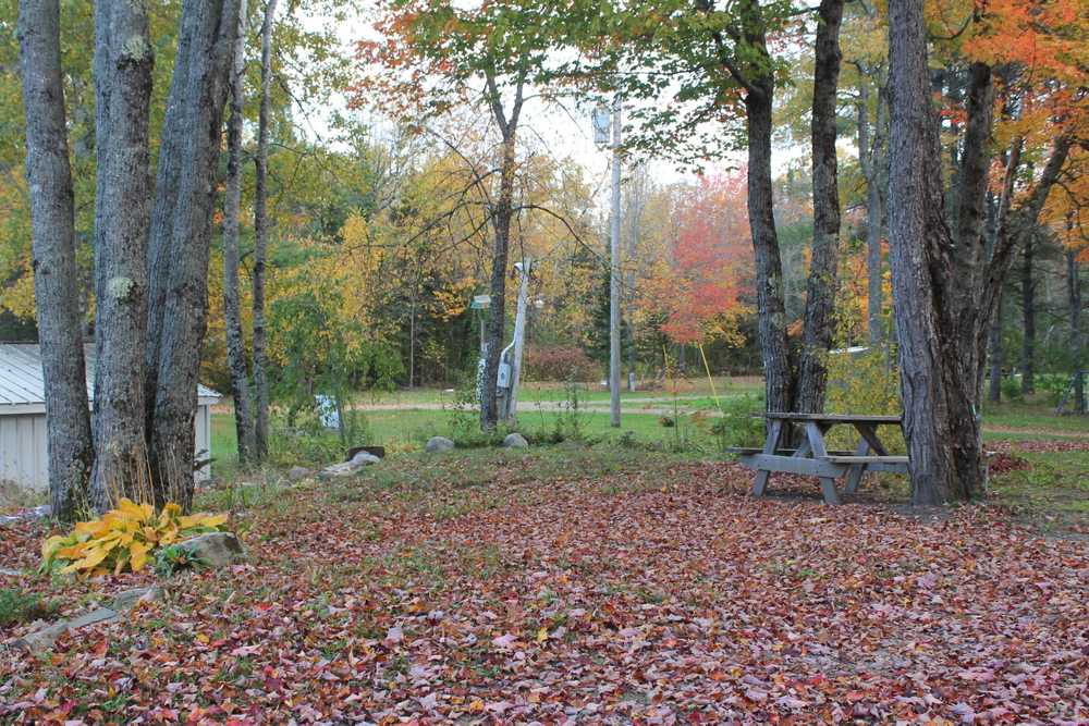 Mystic Valley Campground - Photo 3