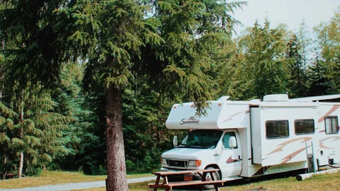 Electric RV Site — image 1 of 1