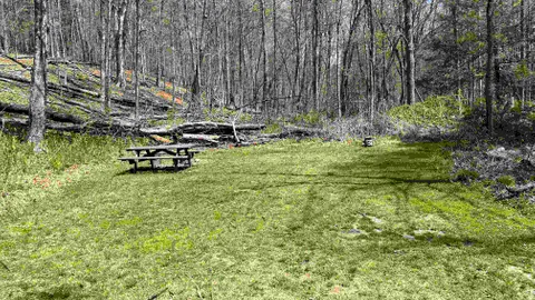 River Forest Site - 15 Person Maximum — image 2 of 2