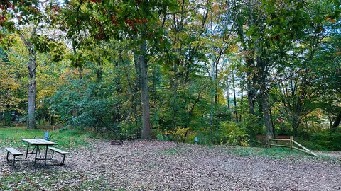 Bear's Trail / Tent Site — image 2 of 3