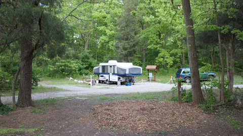 Standard RV/Tent Site — image 2 of 5