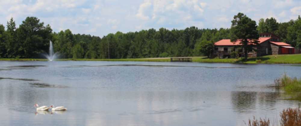 Big Buck Resort, Hornsby, Tennessee - Photo 3