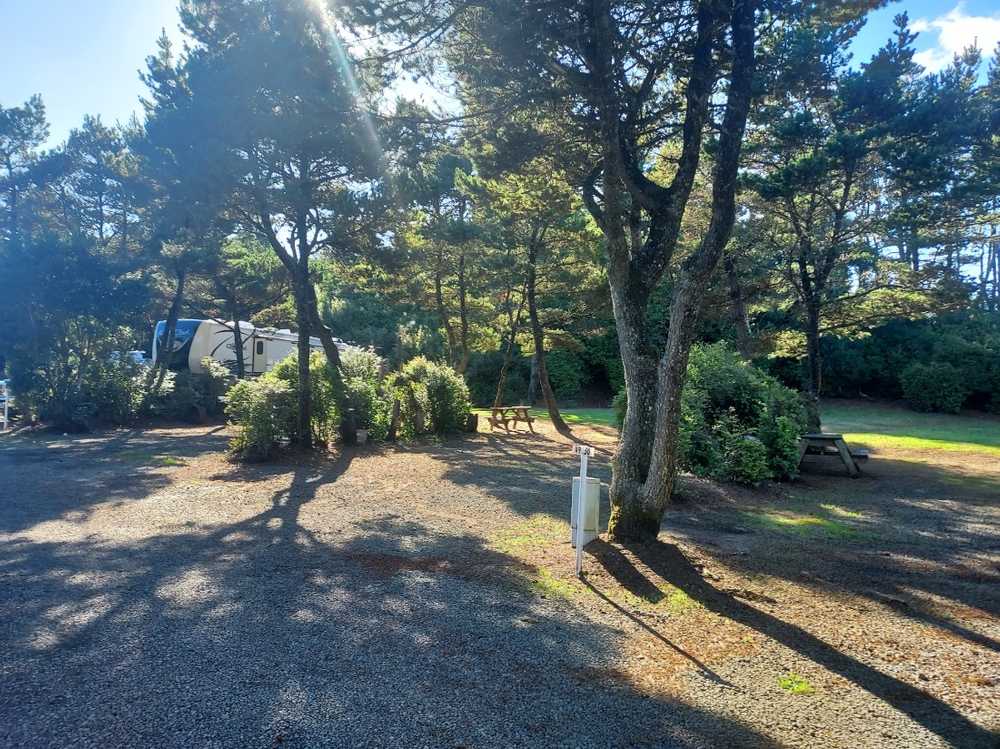 Heceta Beach RV Park, Florence, Oregon - Photo 4