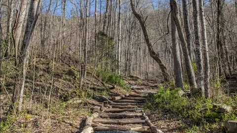 Group Primitive Campsite — image 9 of 9
